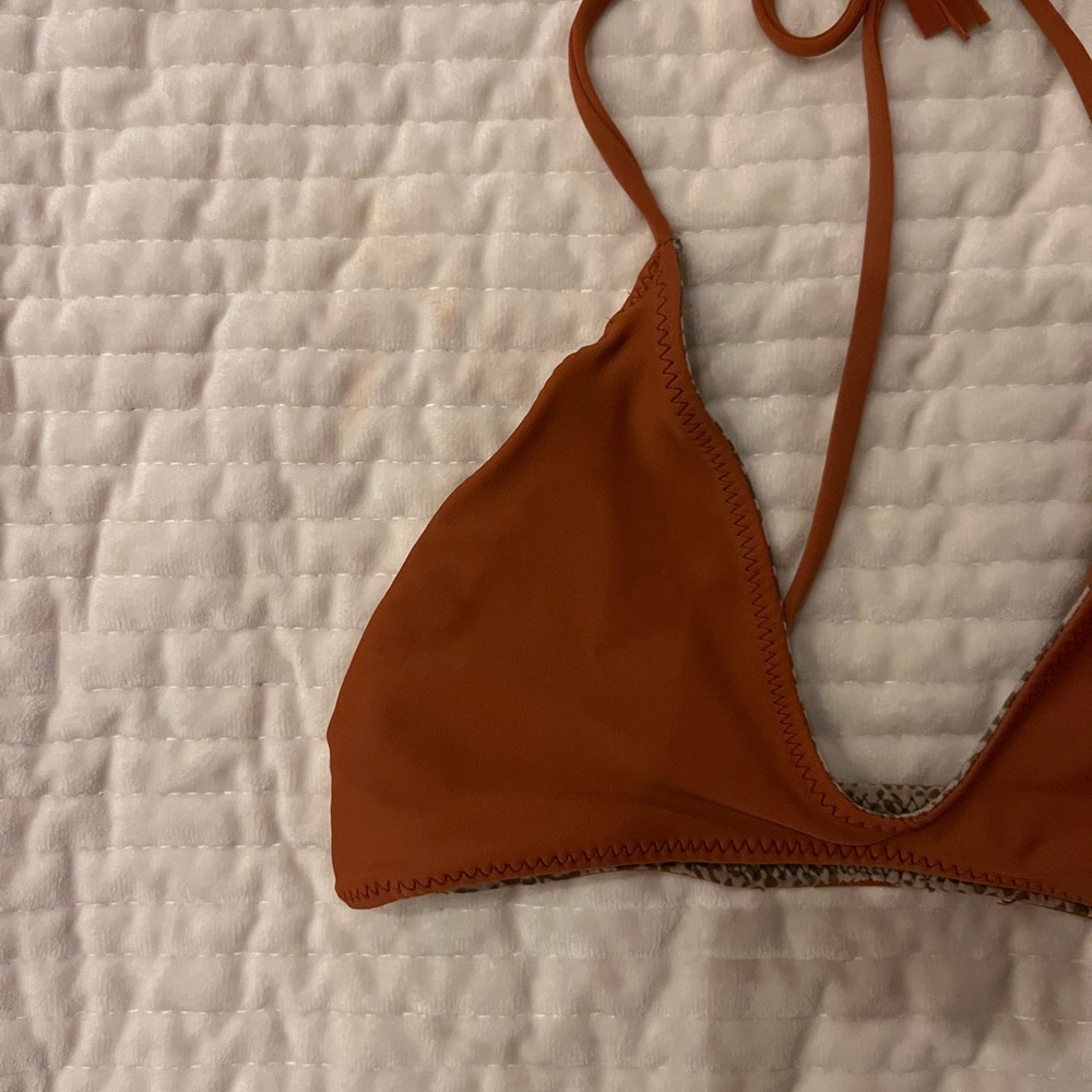 Acacia rust color top